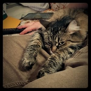 Meet your Posher, Abby